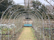 Perfectly Pruned Pears
