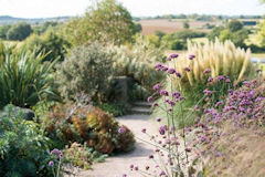 Hyde Hall Prairie Planting