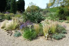 Beth Chatto Gravel Garden