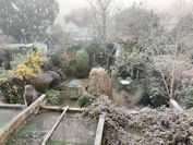 Winter 1