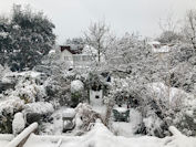 Winter 2