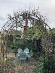Pruned Climbing Roses