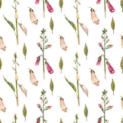 Pattern multicolored foxgloves on a white background