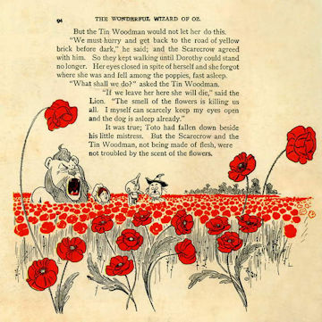 poppies