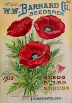 Vintage advert for seeds, flowers and bulbs catalogue from 1913